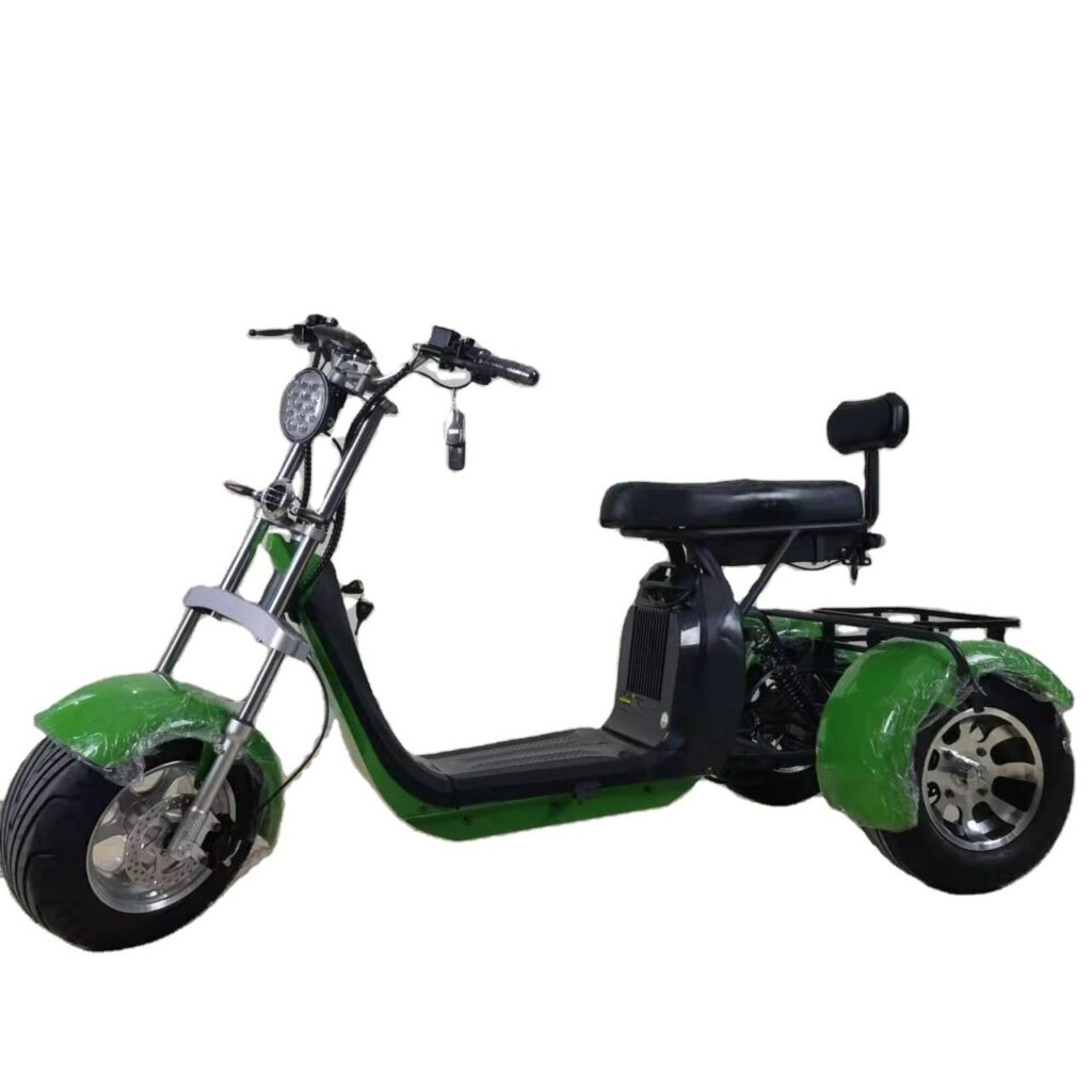 EEC COC Certificate Three Wheels Big Tire Trike Adult Tricycle Citycoco