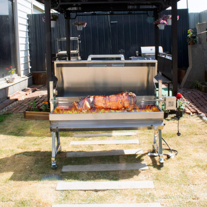 Outdoor Dual Fuel Hooded Gas Grill Propano And Charcoal Lamb Pig Spit