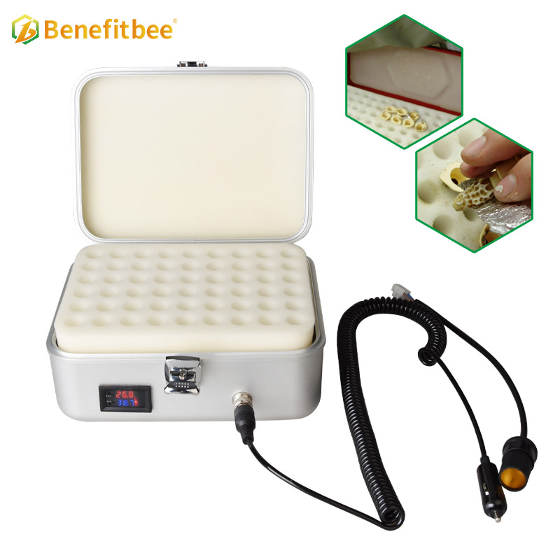 Queen bee automatic incubator electric hatcher bee queen Afrimart Online