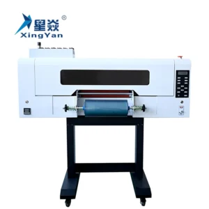 Dual Head XP 600 30cm Roll Printing Digital Control Heat Transfer