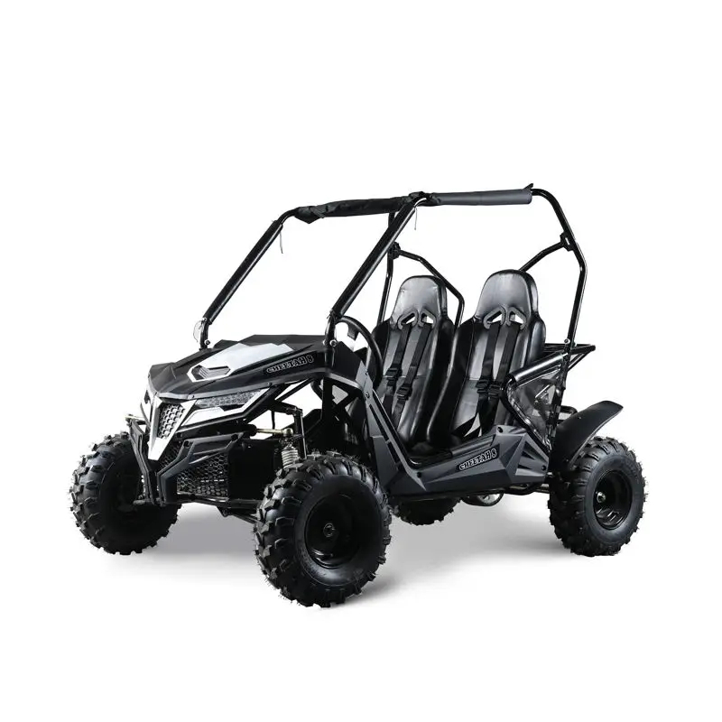 800cc Go Kart Buggy Off Road 4×4 Buggygas Powered Go Kart For Adults Dune Buggies Afrimart Online 